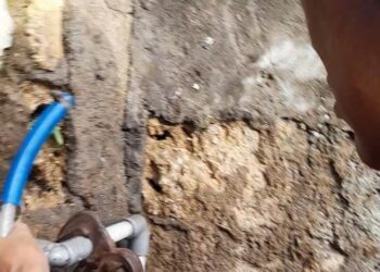 Gerak Cepat, Plt. Kasat Pol PP Kota Bogor Berhasil Cegah Kebakaran Meluas Bersama Damkar