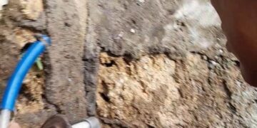 Gerak Cepat, Plt. Kasat Pol PP Kota Bogor Berhasil Cegah Kebakaran Meluas Bersama Damkar