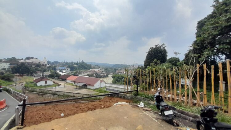 Pemkot Bangun Leweung Batu Tulis, Tanam Bambu Kuning Seperti di Lembur Pakuan