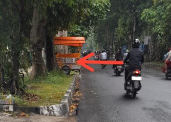 Marketing Penjual Buah Musiman, Gunakan Ilusi Optik Untuk Tarik Konsumen