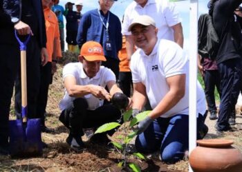 Puncak Bogor Pernah Banjir Besar di 2021, Peneliti Ingatkan Potensi Bencana di Puncak, Pemkab Hijaukan Total Kawasan Puncak Cisarua