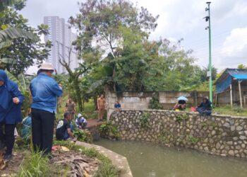 Tragedi Lingkungan di Situ Citongtut, DLH Bogor Selidiki Kematian Ikan