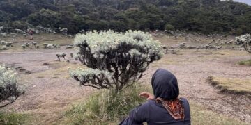 Jalur Menuju Lembah Sunyi Mandalawangi, Perjuangan Dan Ringkih