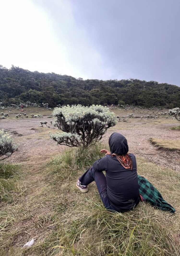 Jalur Menuju Lembah Sunyi Mandalawangi, Perjuangan Dan Ringkih